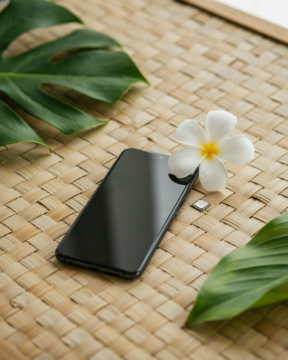 Best esim for bali