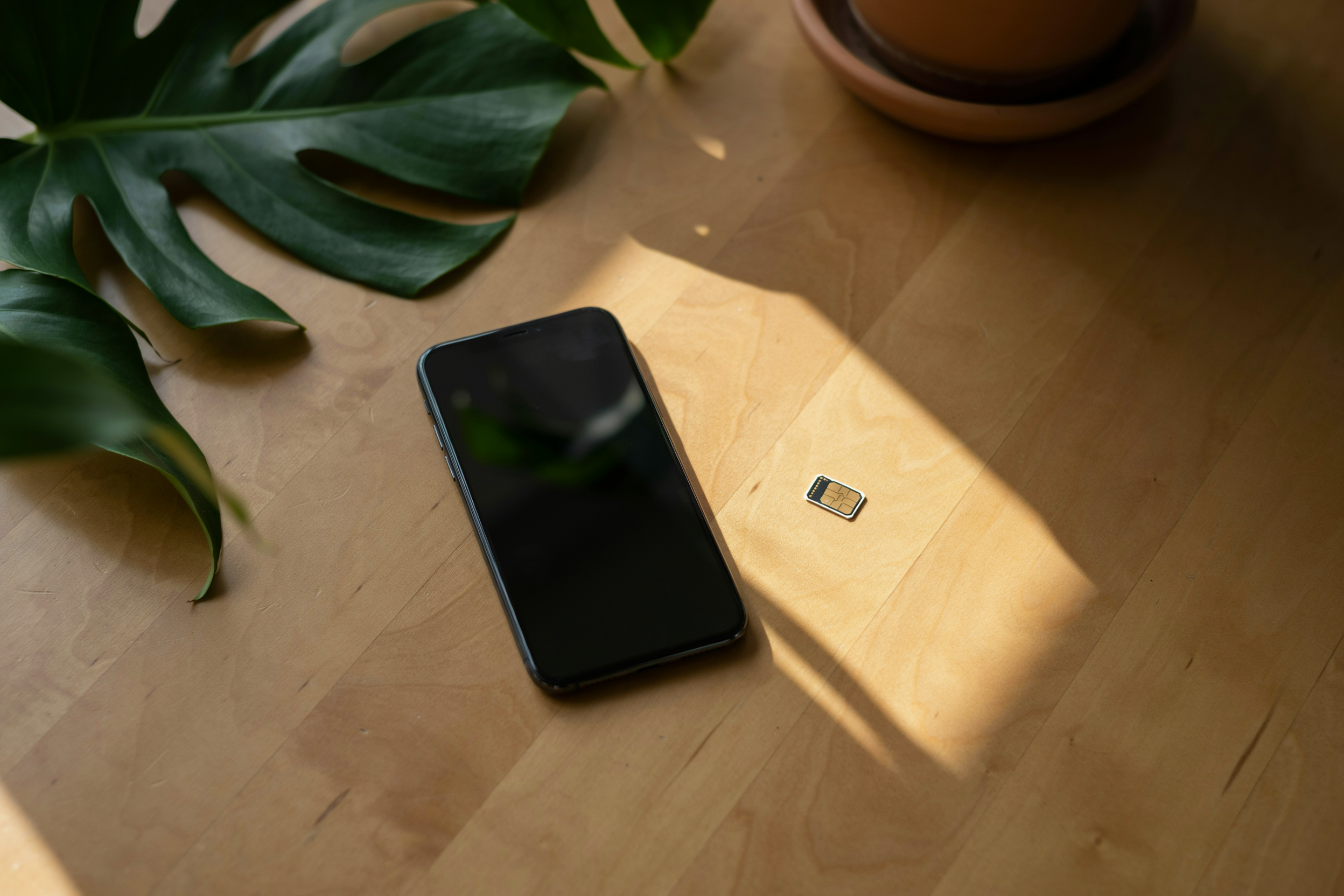 Bali eSIM comparison